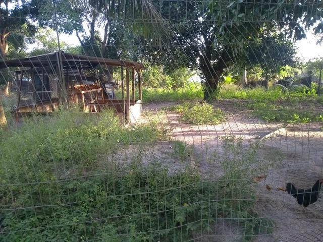 Terreno - Foto 11