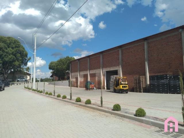 Terreno à venda em Nossa senhora da saúde, Caxias do sul cod:2161 - Foto 19