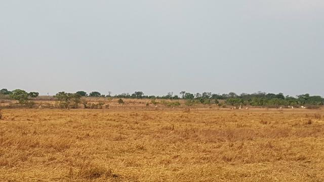 Area Rural