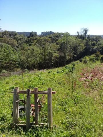 Ref. 2385 - Chácara de 5.854,14 m² com tanque e Luz - Contenda - Foto 8