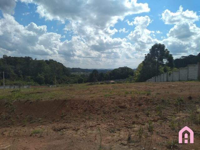 Terreno à venda em Nossa senhora da saúde, Caxias do sul cod:2161 - Foto 15