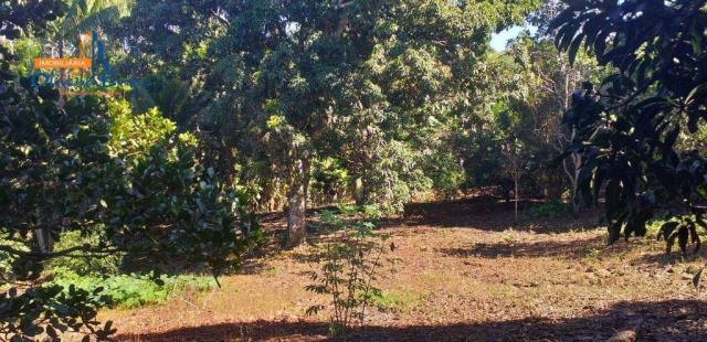 Chácara à venda por R$450.000 - Bairro São Lourenço - Anápolis/GO - Foto 4