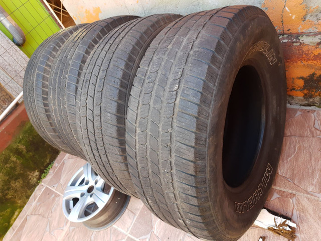 Barbada pneus michelin