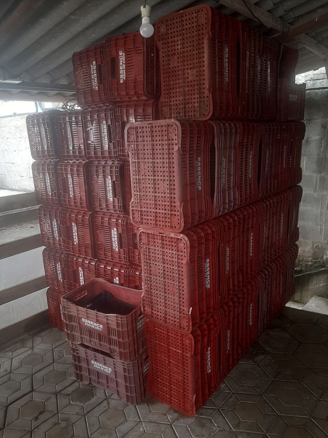 Caixas plásticas hortifruit 