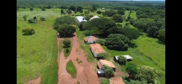 28.500 hectares em Tocantins