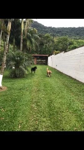 Casa/Sítio/Rancho de Pesca na Beira do Asfalto com fundos para o Rio Ribeira de Iguape - Foto 2