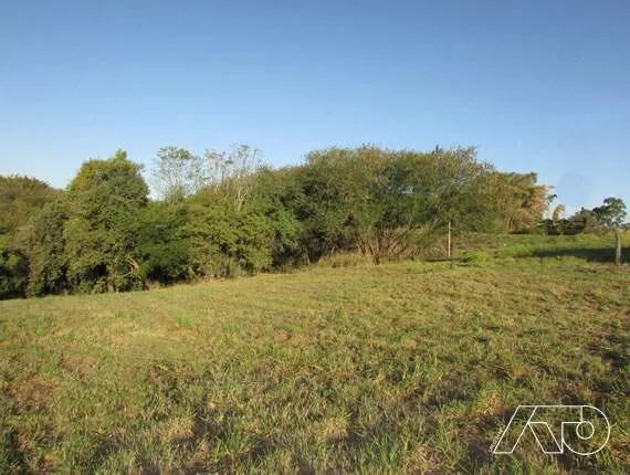 Terreno para aluguel, CONCEICAO - PIRACICABA/SP - Foto 3