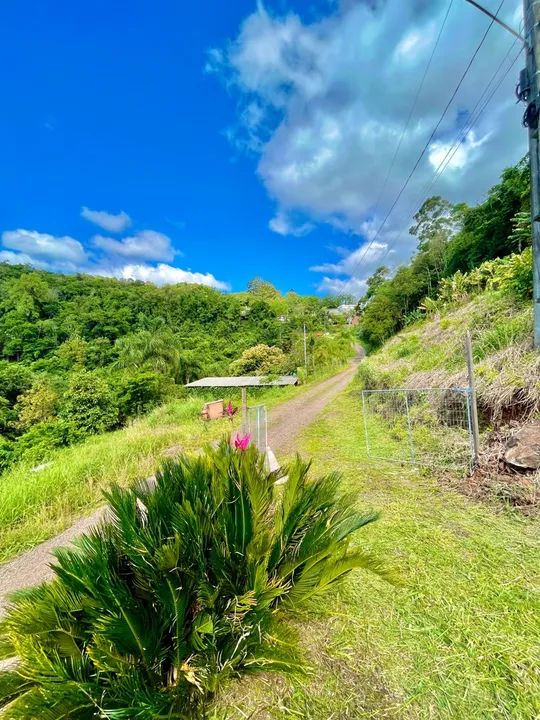 Terreno / Casa - Faria Lemos  - Foto 3