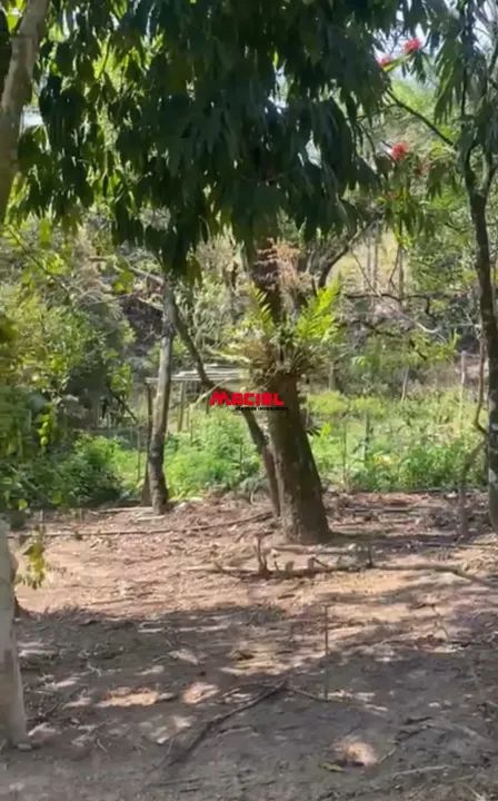 Rural Fazenda, Sítio e Chácara em Sao Jose dos Campos - Foto 13