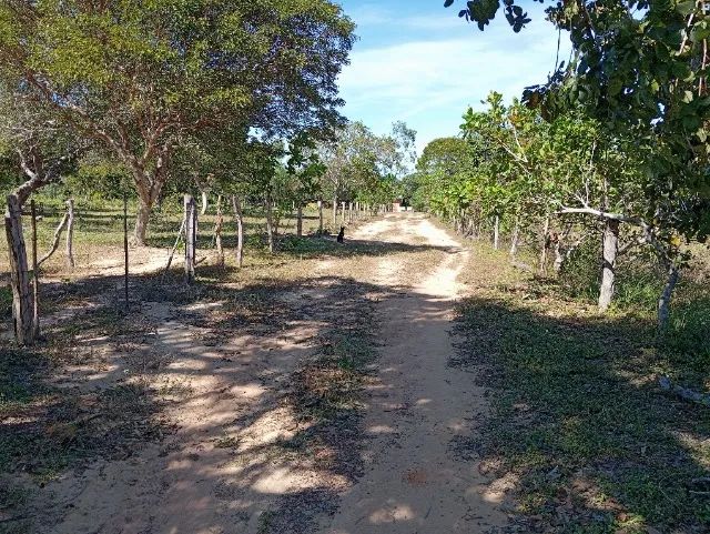 Fazenda à venda em Lagoa do Tocantins - TO | 96,13 hectares - Foto 3