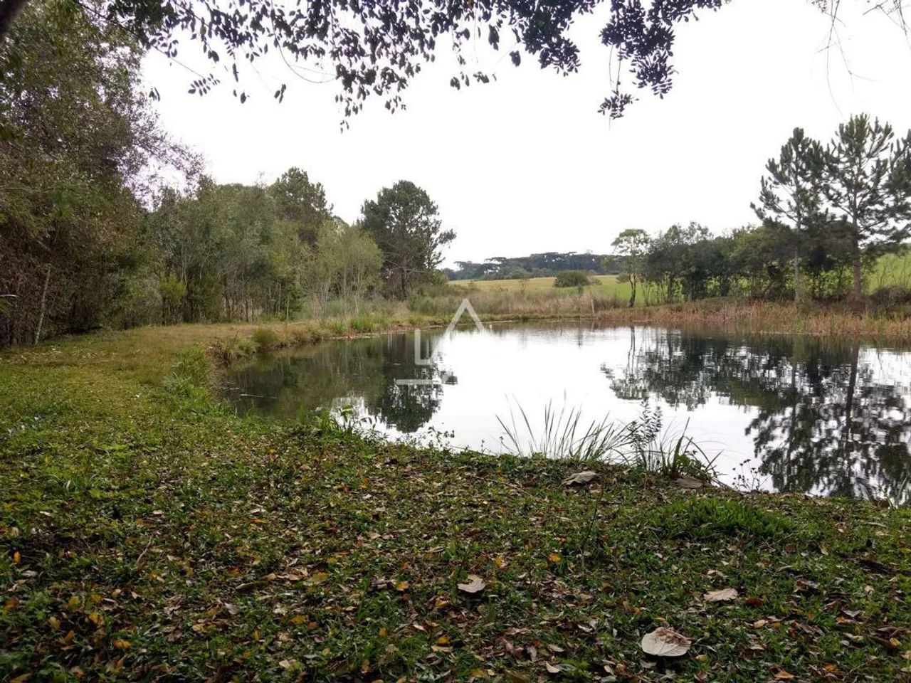 CHÁCARA PARA VENDA EM MATO CASTELHANO, COM AÇUDE, REDE ÁGUA E LUZ E 15.000 M² POR R$ 198.0 - Foto 4