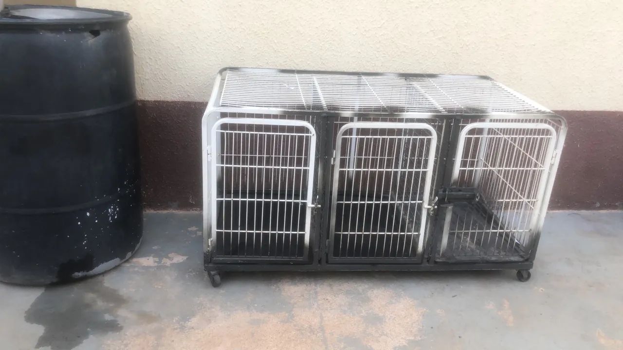 Equipamentos para BANHO E TOSA - Foto 5