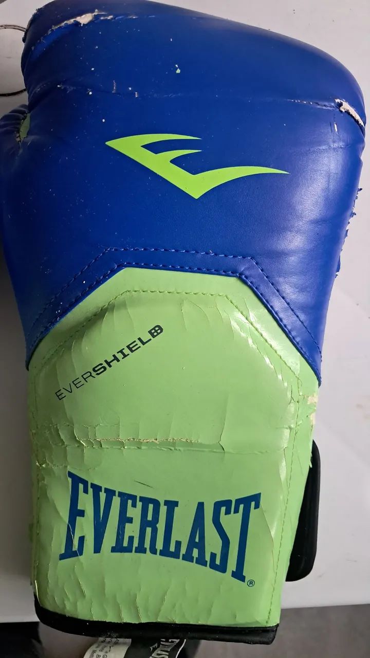 Everlast Pro Style Elite Blue with Green Boxing Gloves64314894070274121