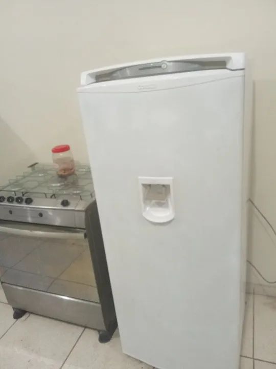 Vendo geladeira frosfree entrego grátis hj 750 reais 