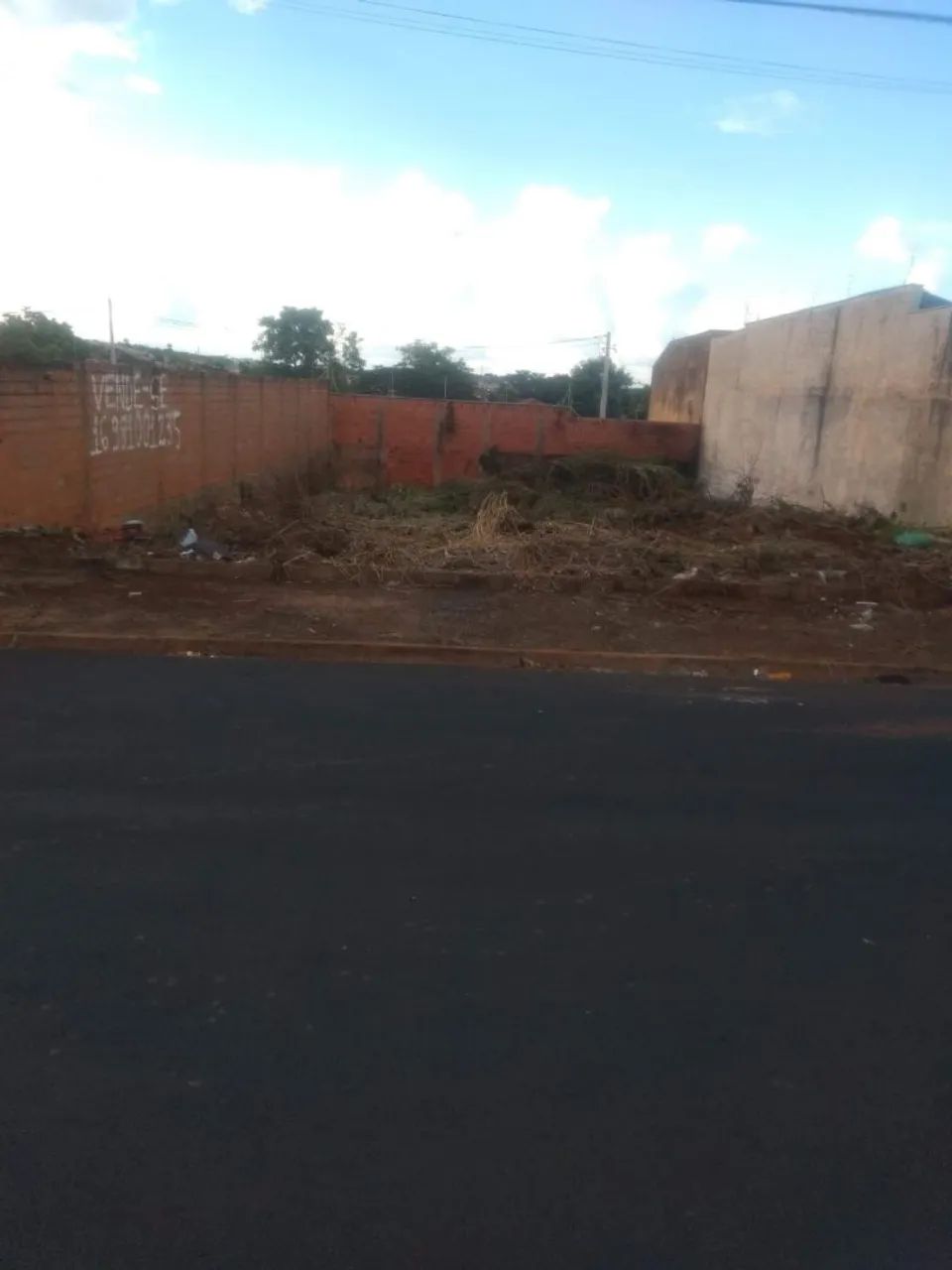 Foto - Ribeirão Preto - Vila Mariana