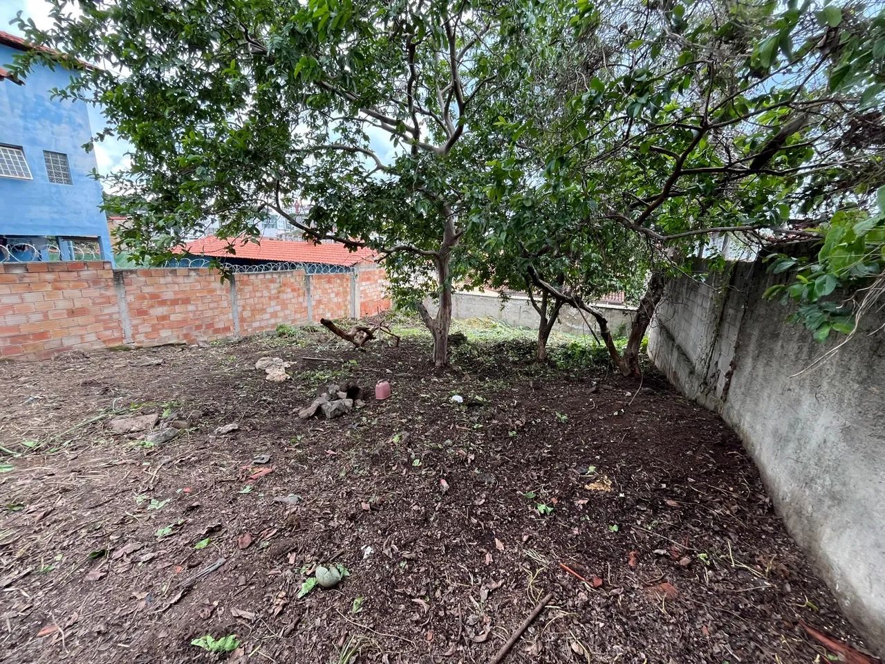 LOTE 360 m FILADÉLFIA  - Foto 2