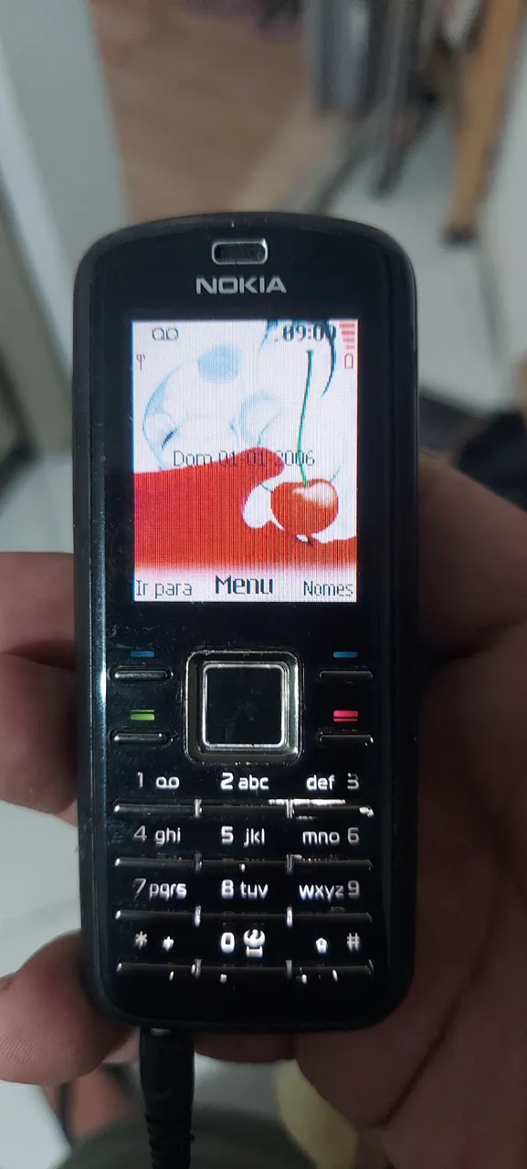 Celular Nokia 6080