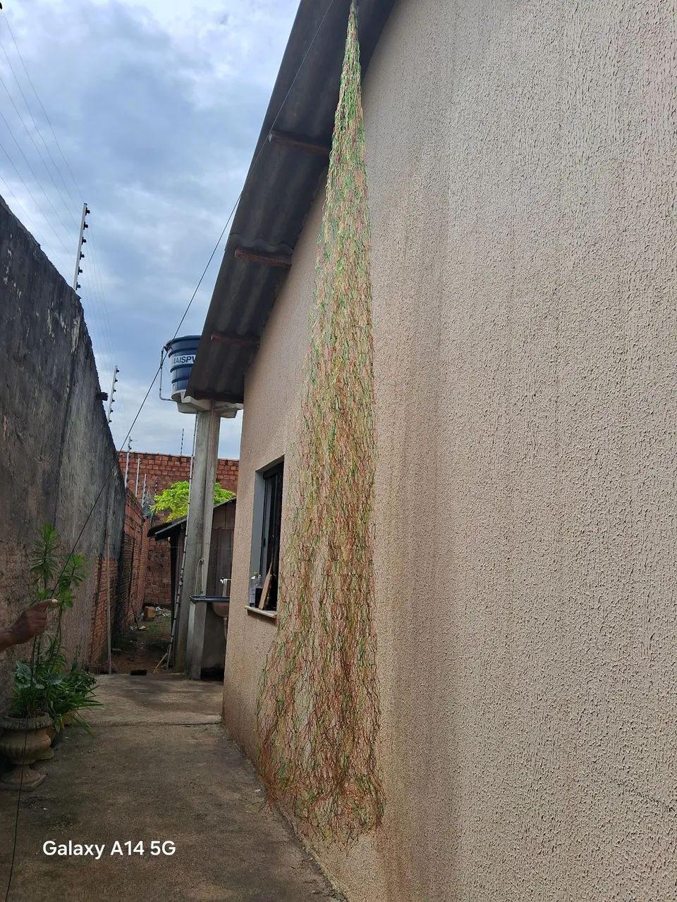 Vendo uma tarrafa - Foto 2