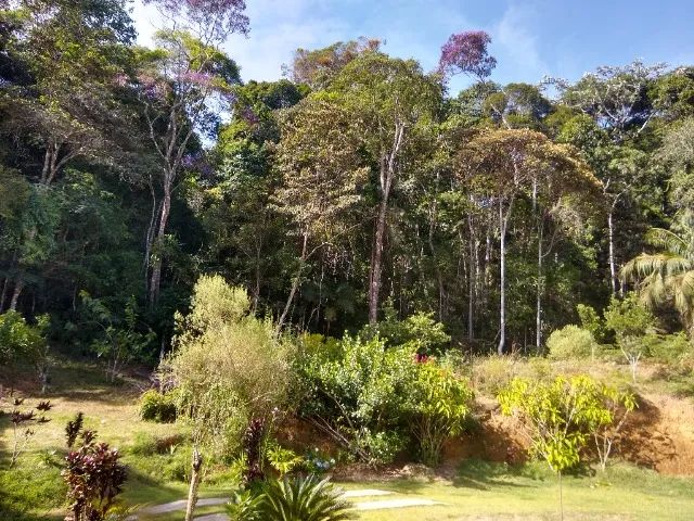 SEU REFÚGIO IMPERDÍVEL EM DOMINGOS MARTINS com 30 mil m² - Foto 5