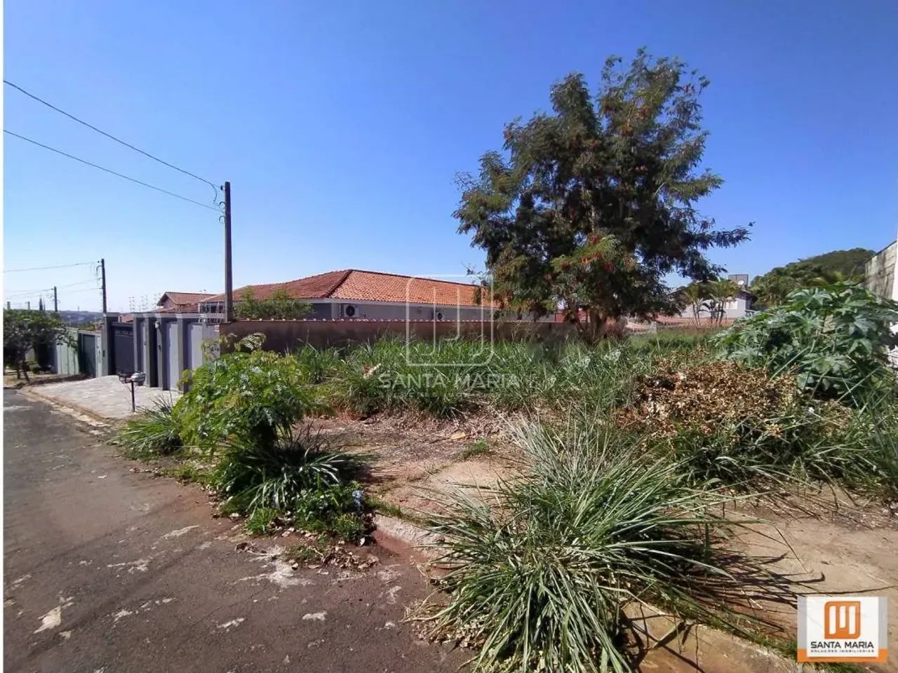 Terreno (terreno normal) - Foto 2