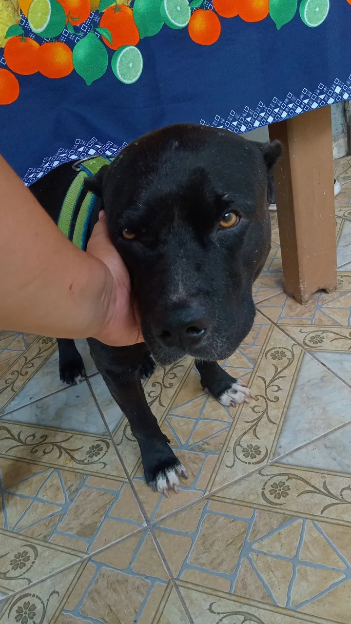 A procura de uma namoradinha!