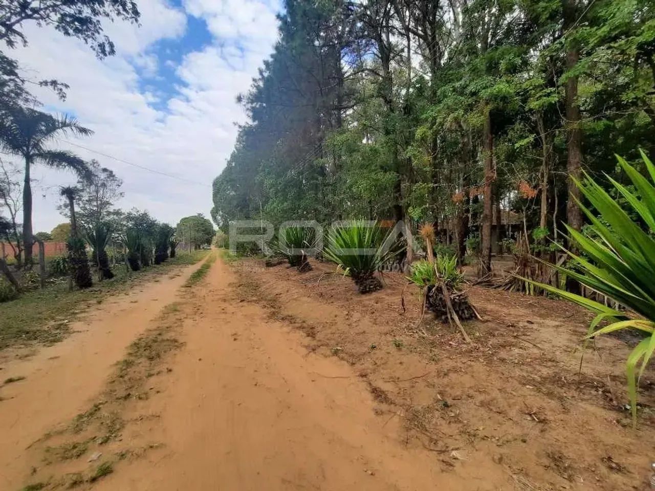 Venda de Rural / Chácara na cidade de São Carlos - Foto 2