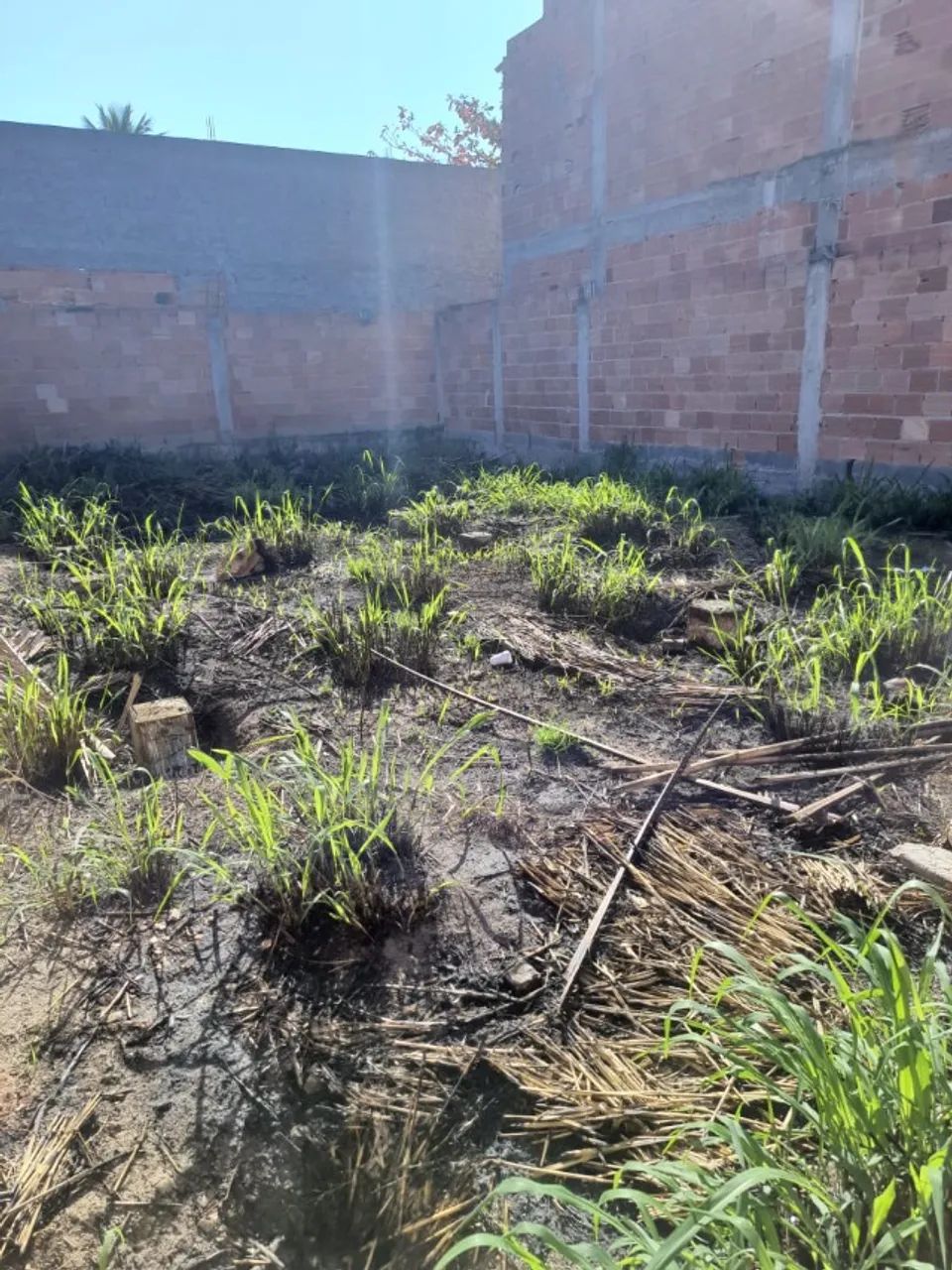 Ótimo terreno em Sepetiba - Foto 8