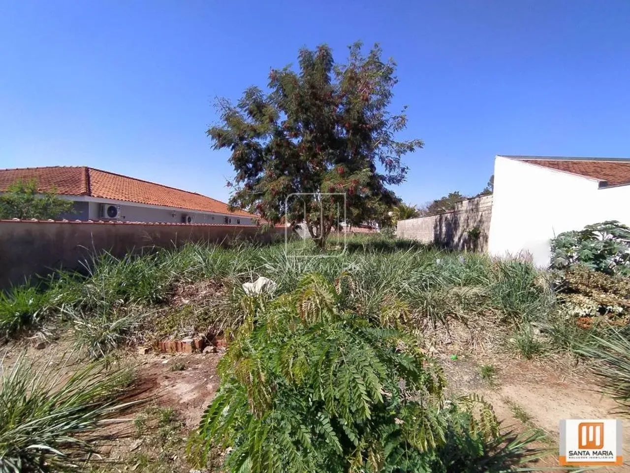 Terreno (terreno normal) - Foto 4