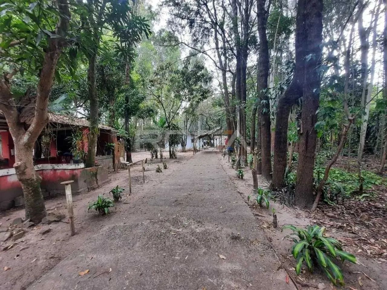 Venda de Rural / Chácara na cidade de São Carlos - Foto 3