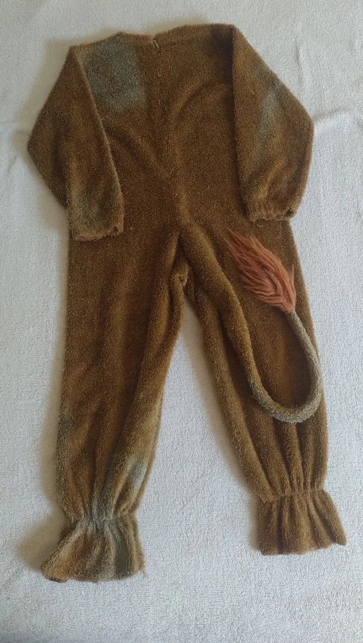 Fantasia infantil Leão 