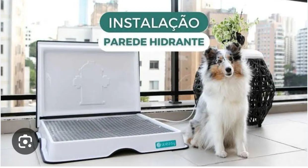 Banheiro inteligente wase cão grande 