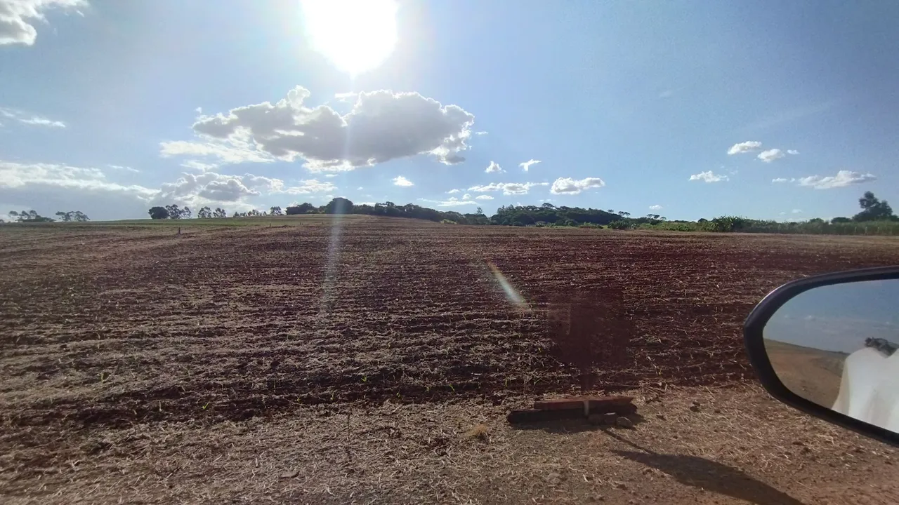 Chácara de 5.000m2 em Paiçandu-Pr,matrícula compartilhada 