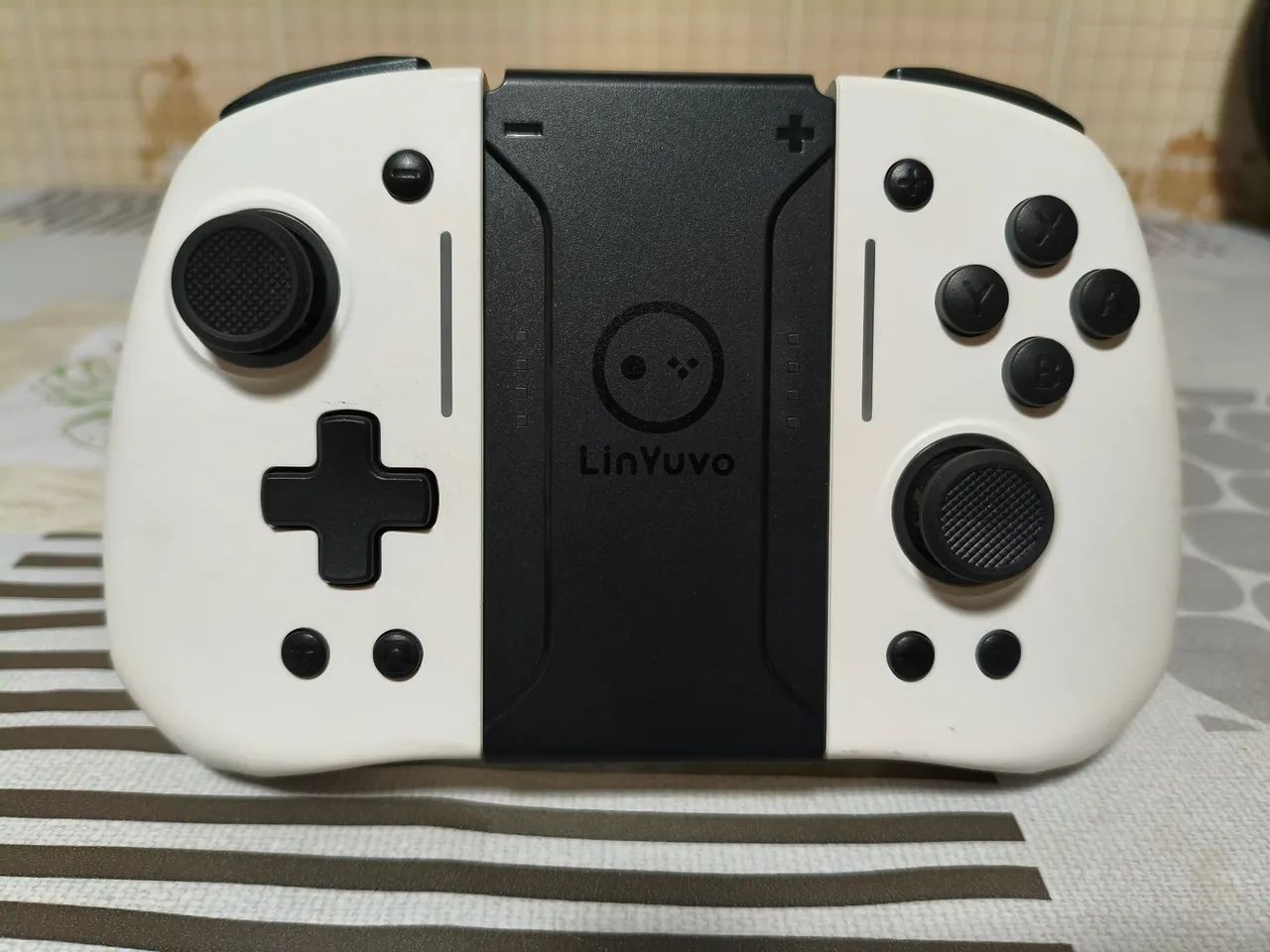 Controle Nintendo Switch 