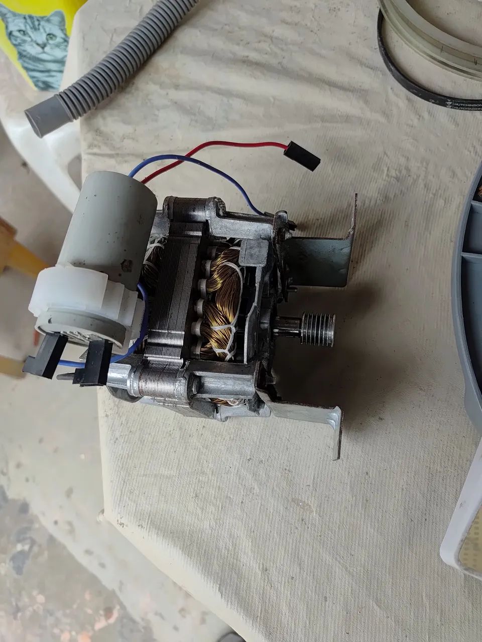 Motor de Máquina de Lavar comarq lcs 10kg,12, 14 16 e 20kg - Foto 2