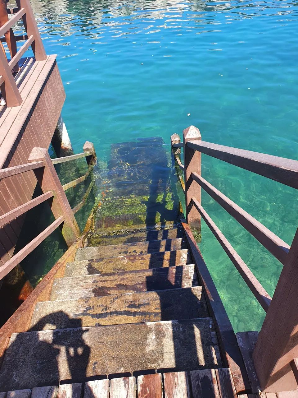 Angra porto real carnaval é dia comun - Foto 4