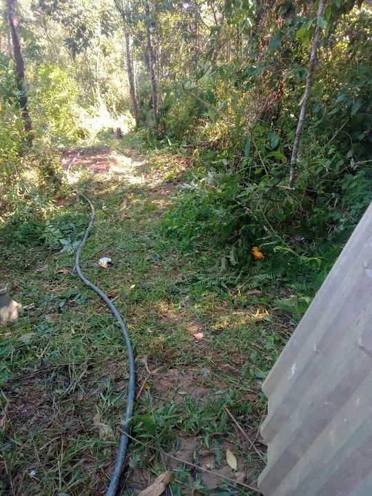 R$ 30 mil ...260 MTS² lote .cidade Juquitiba  - Foto 5