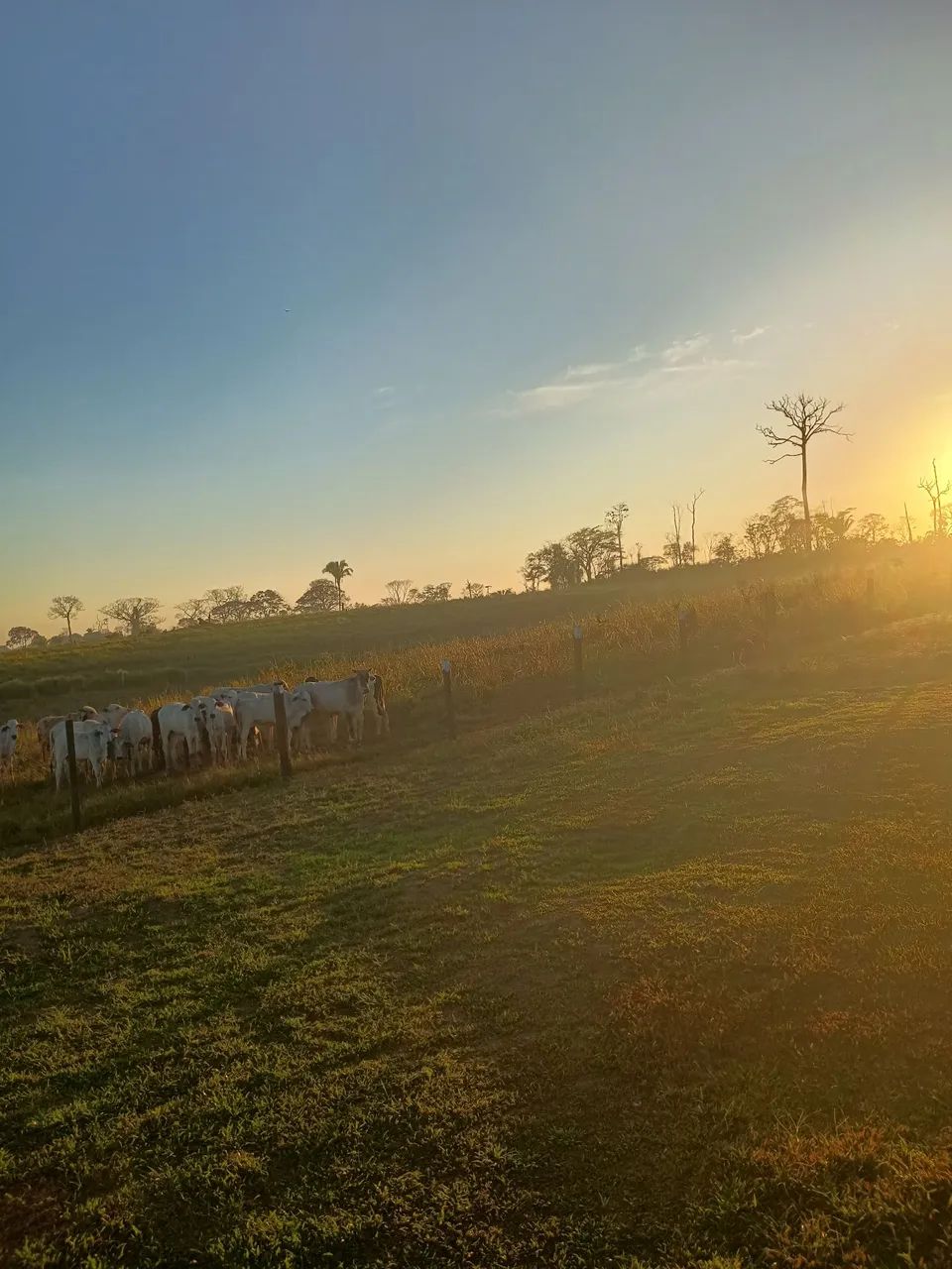 Não tem  - Foto 3
