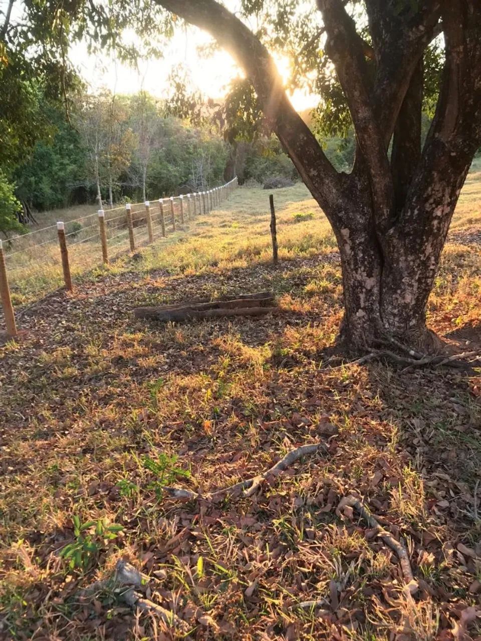 Vendo Terreno em Pirenópolis 