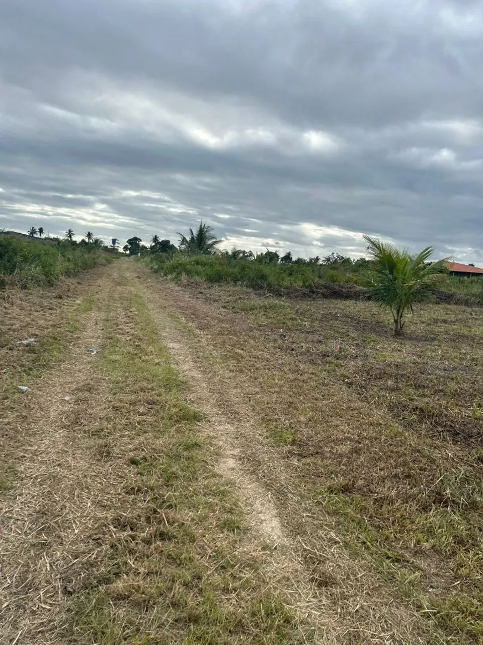 Lote 20×30 600m2 - Foto 3