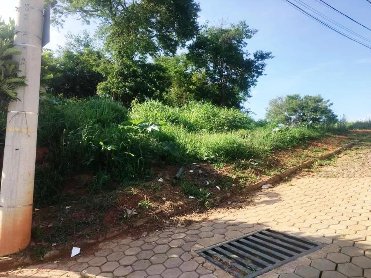 Lote 210,71 m² no Santo Antônio - Foto 4