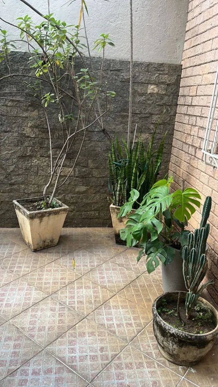 Vasos de planta  - Foto 2