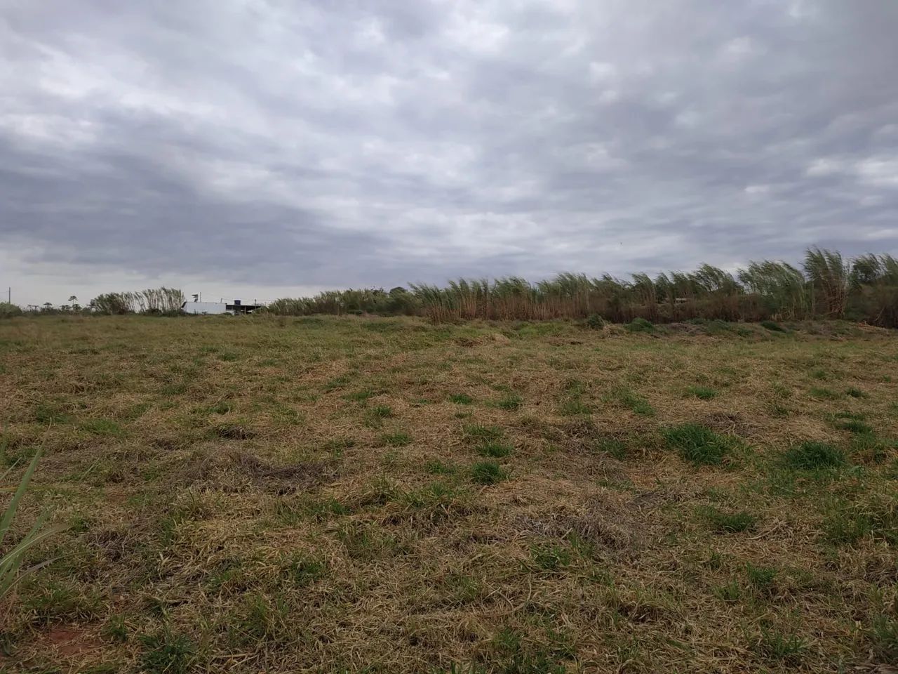 Chácara 7.500 M2 Mandaguaçu  - Foto 4