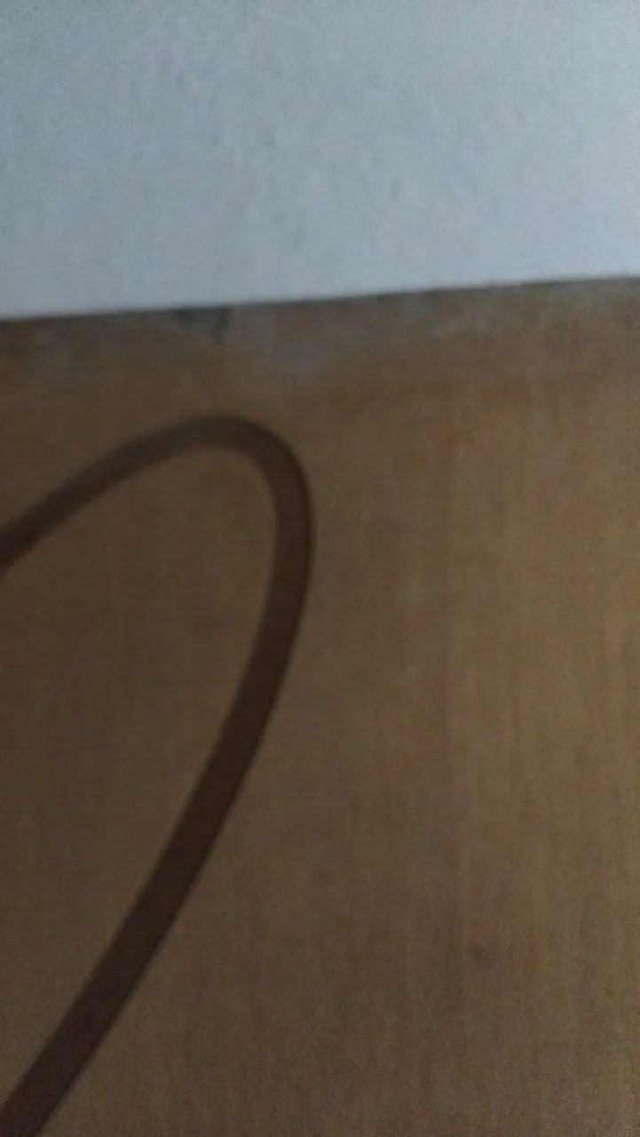 Folha porta - Foto 2