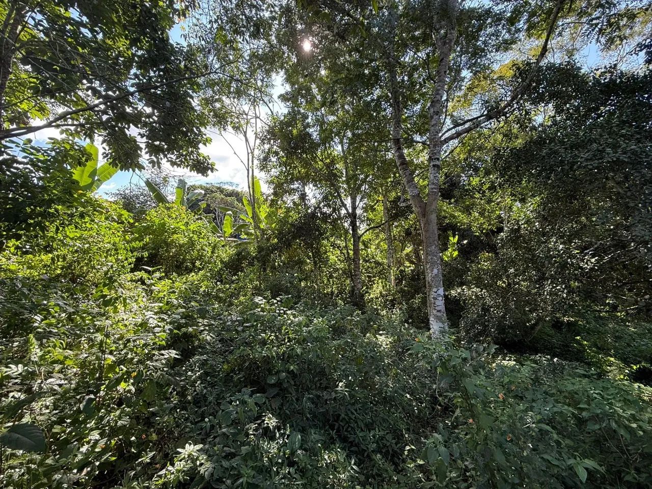 Outros à venda em Agostinho - 2500. m² - Foto 5