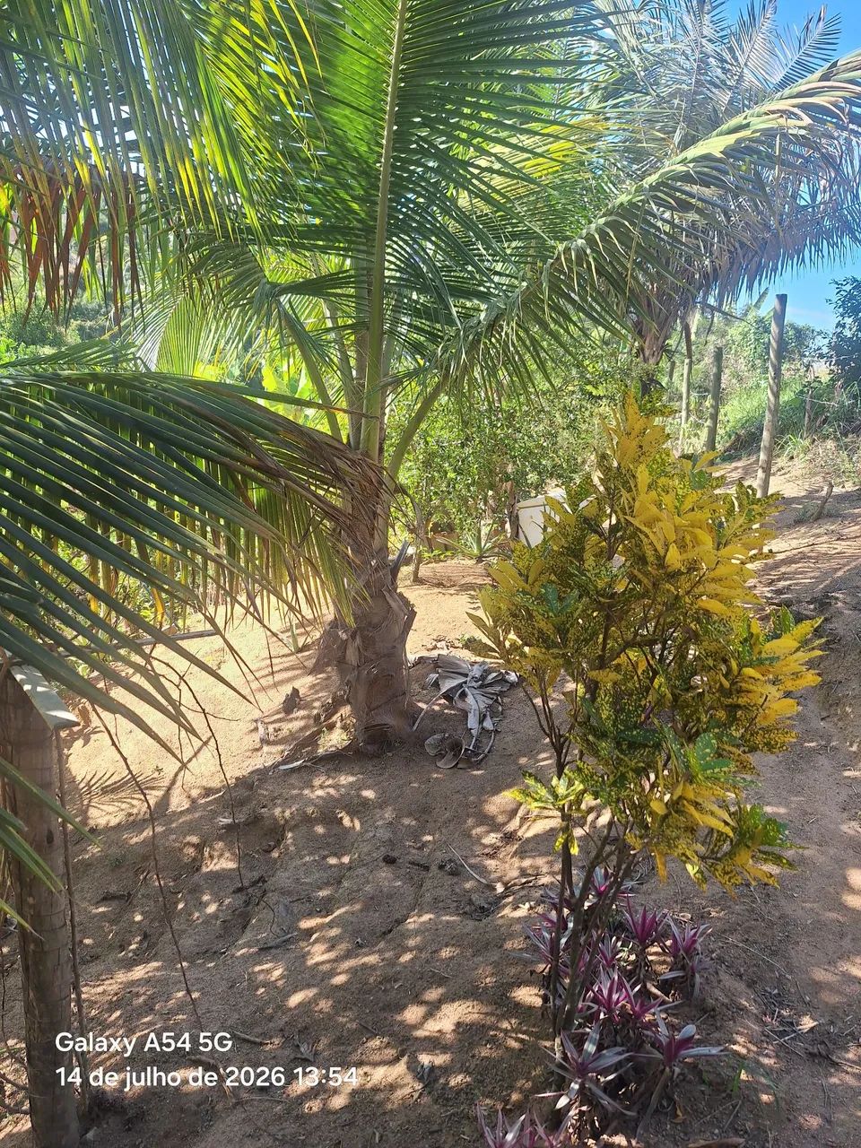 Venda - Foto 4