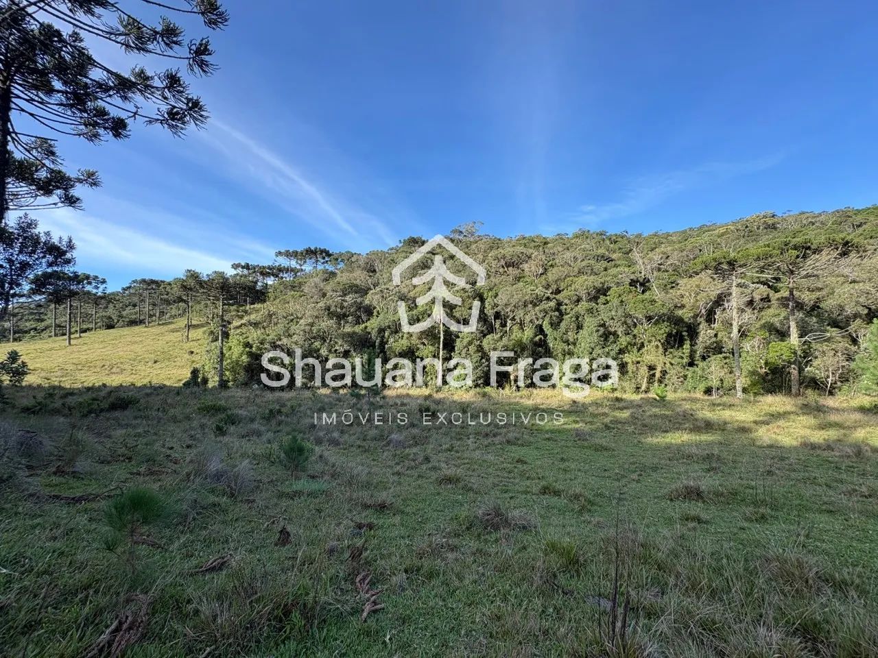 TERRENO RURAL em RANCHO QUEIMADO - SC, Queimada Grande - Foto 5