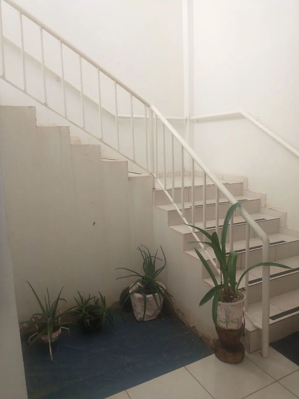 Alugo apartamento  - Foto 3