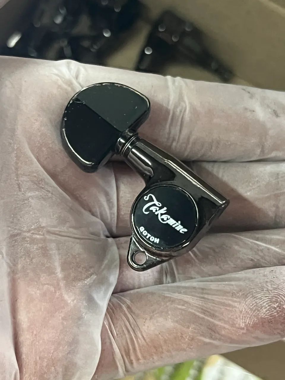 Tarracha takamine gotoh  - Foto 2