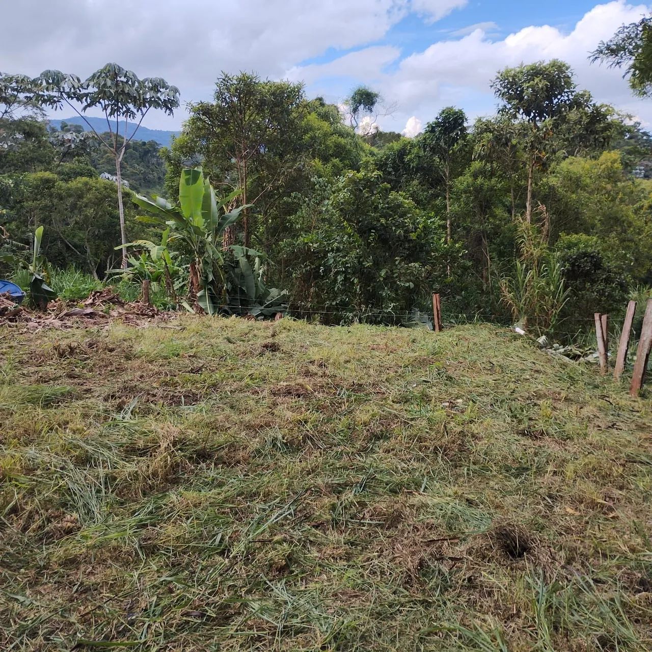 Terreno em Ipiabas  - Foto 2