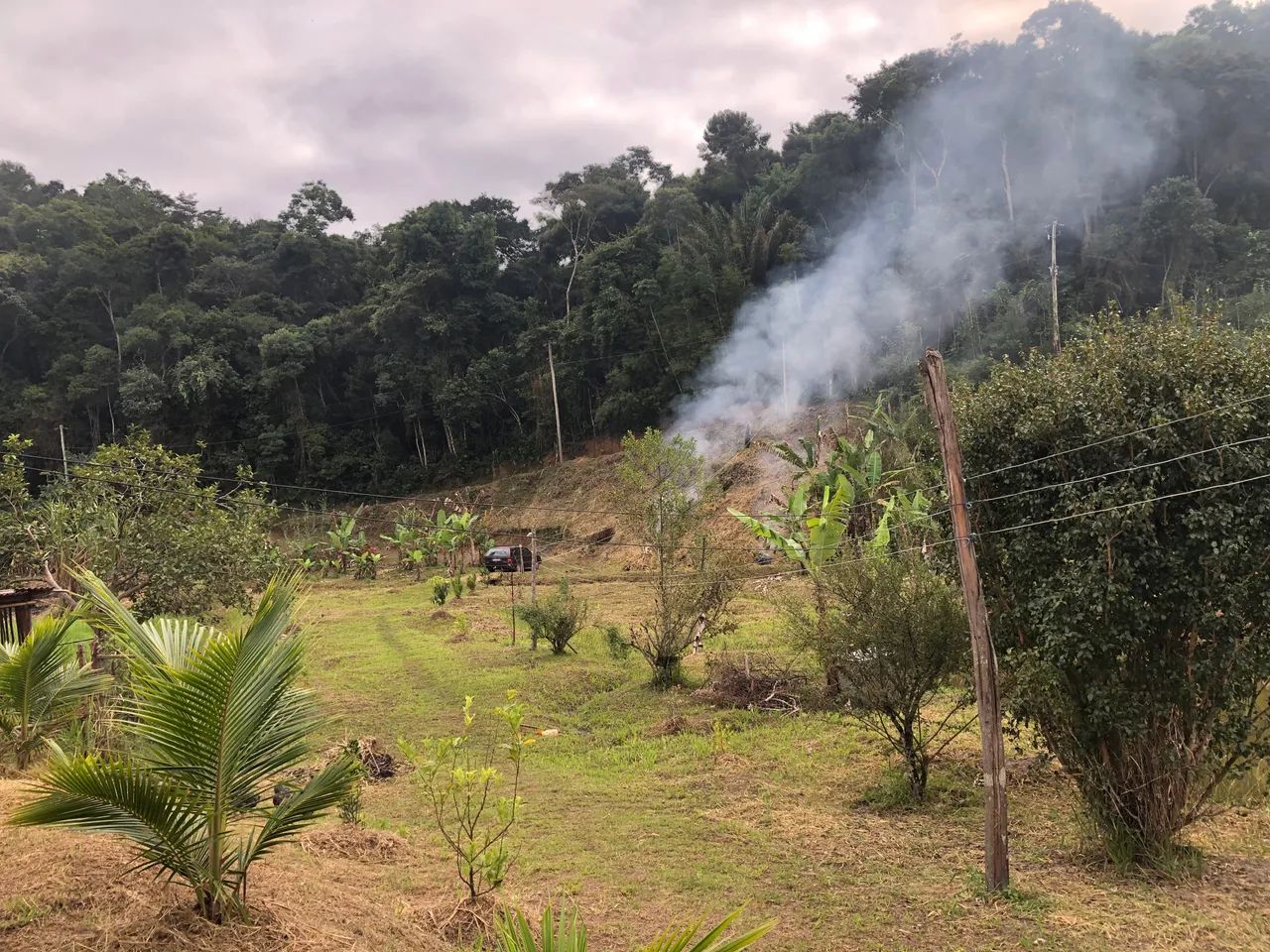 Serviço de Jardinagem e Roçagem. - Foto 3